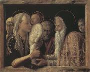Andrea Mantegna The Presentaion in the Temple oil